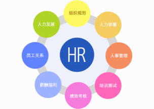 企業(yè)申請人力資源服務(wù)許可證全流程與資質(zhì)解析