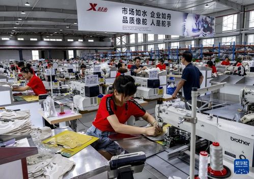 新華全媒 | 從家庭作坊到現(xiàn)代化工廠，從鄉(xiāng)鎮(zhèn)企業(yè)到國(guó)際知名企業(yè)——探訪福建晉江民營(yíng)企業(yè)的管理密碼